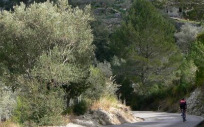 Mallorca quiet-roads cycling route